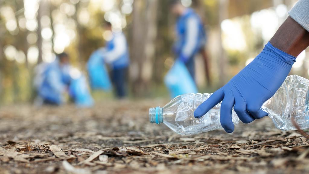 The Contribution of Corporate Volunteering to Awareness of the SDGs 