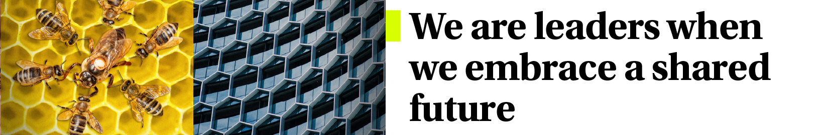 About us Conscious Enterprise Center